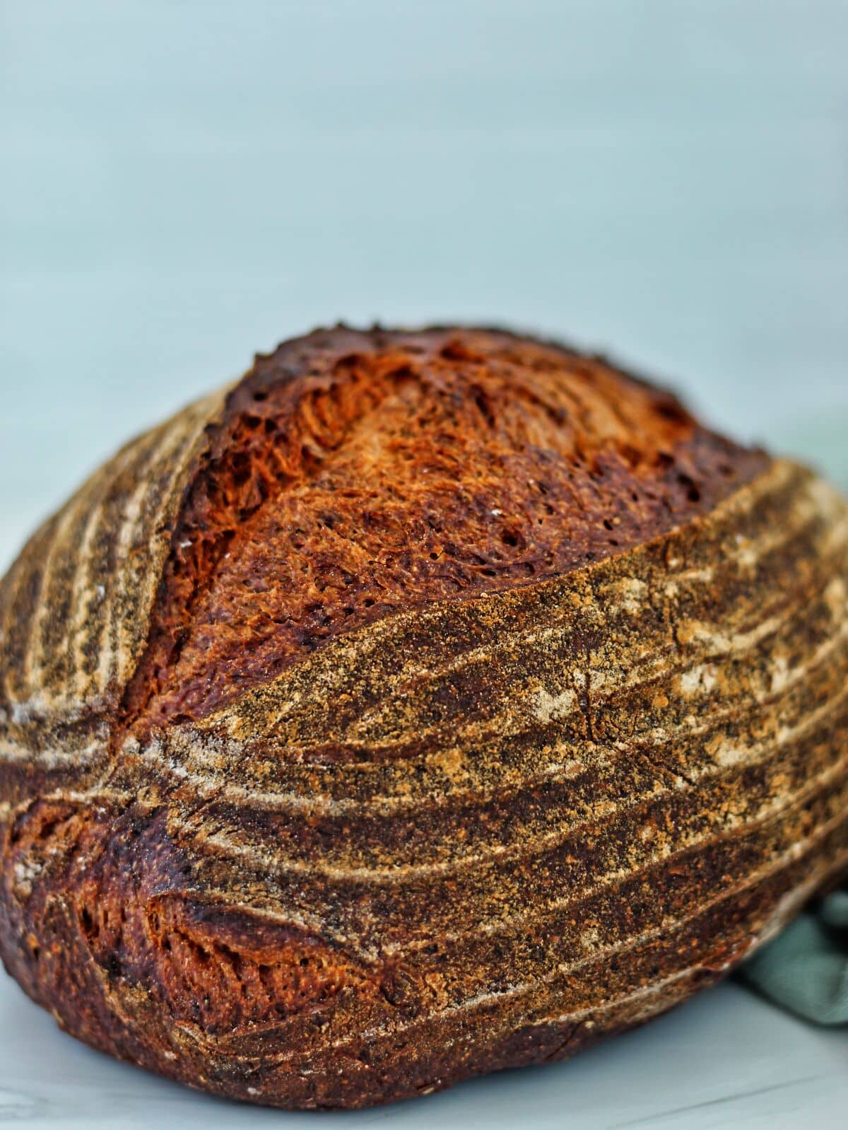 Best Ever Gluten Free Sourdough Bread