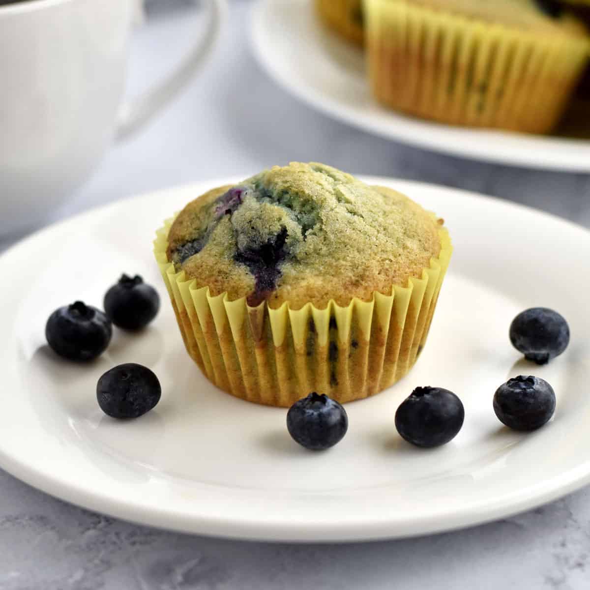 Easy Gluten Free Blueberry Muffins