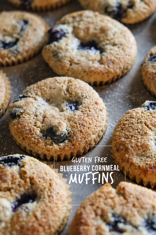 Gluten Free Blueberry Cornmeal Muffins - Shutterbean