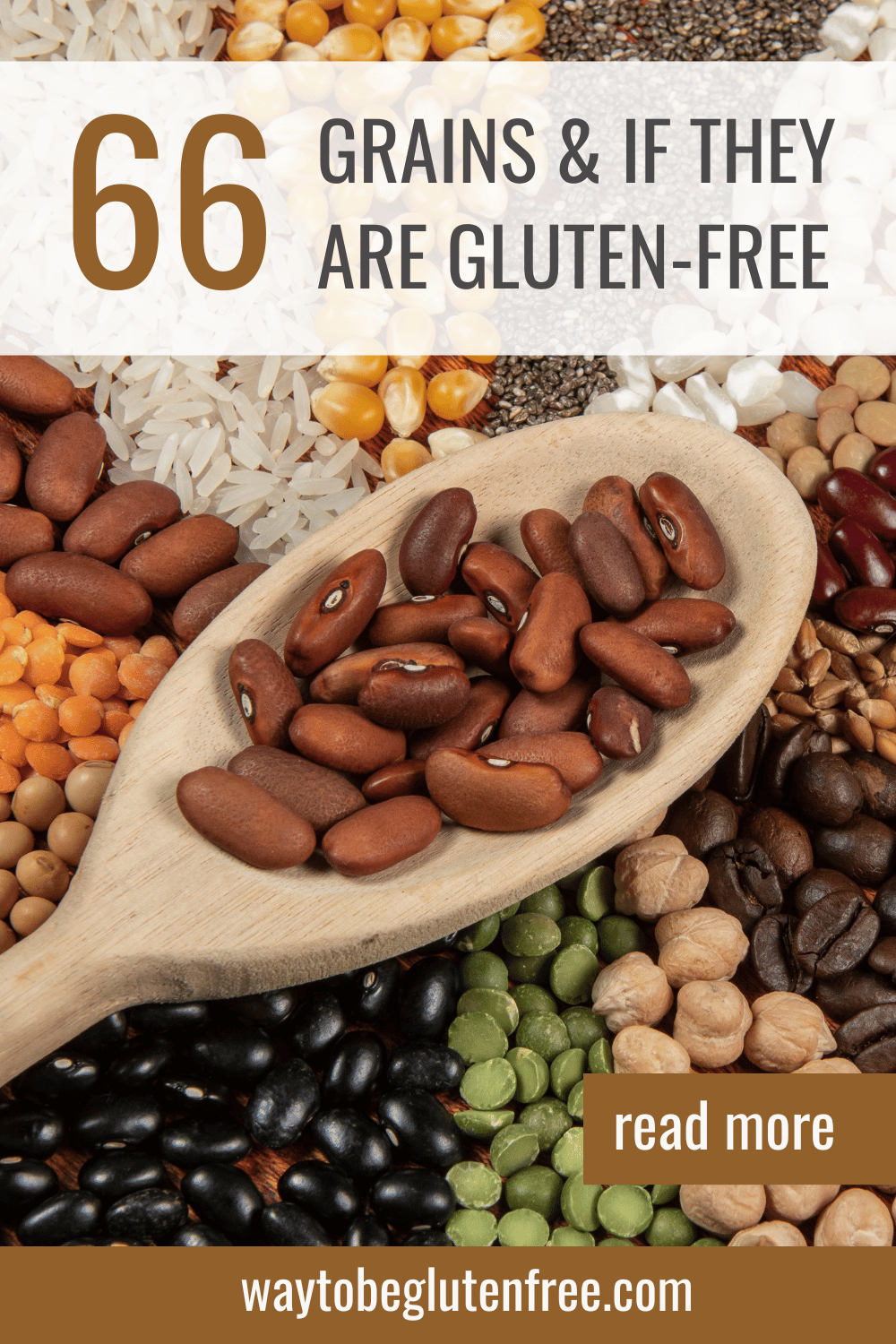 Gluten Free Grains