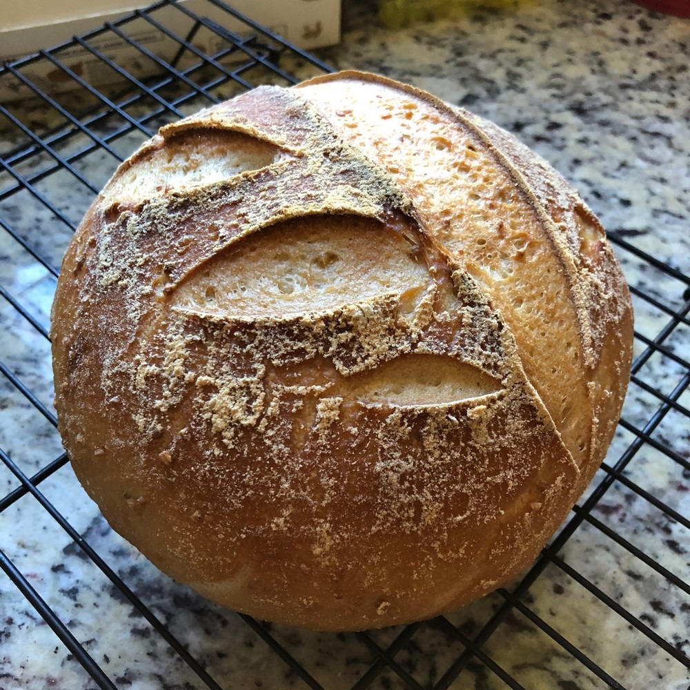 Gluten Free Sourdough Bread