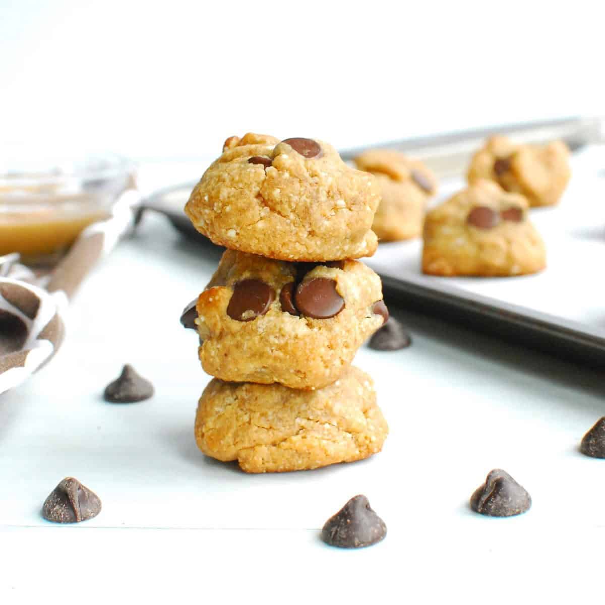 Sugar Free Dairy Free Gluten Free Cookies