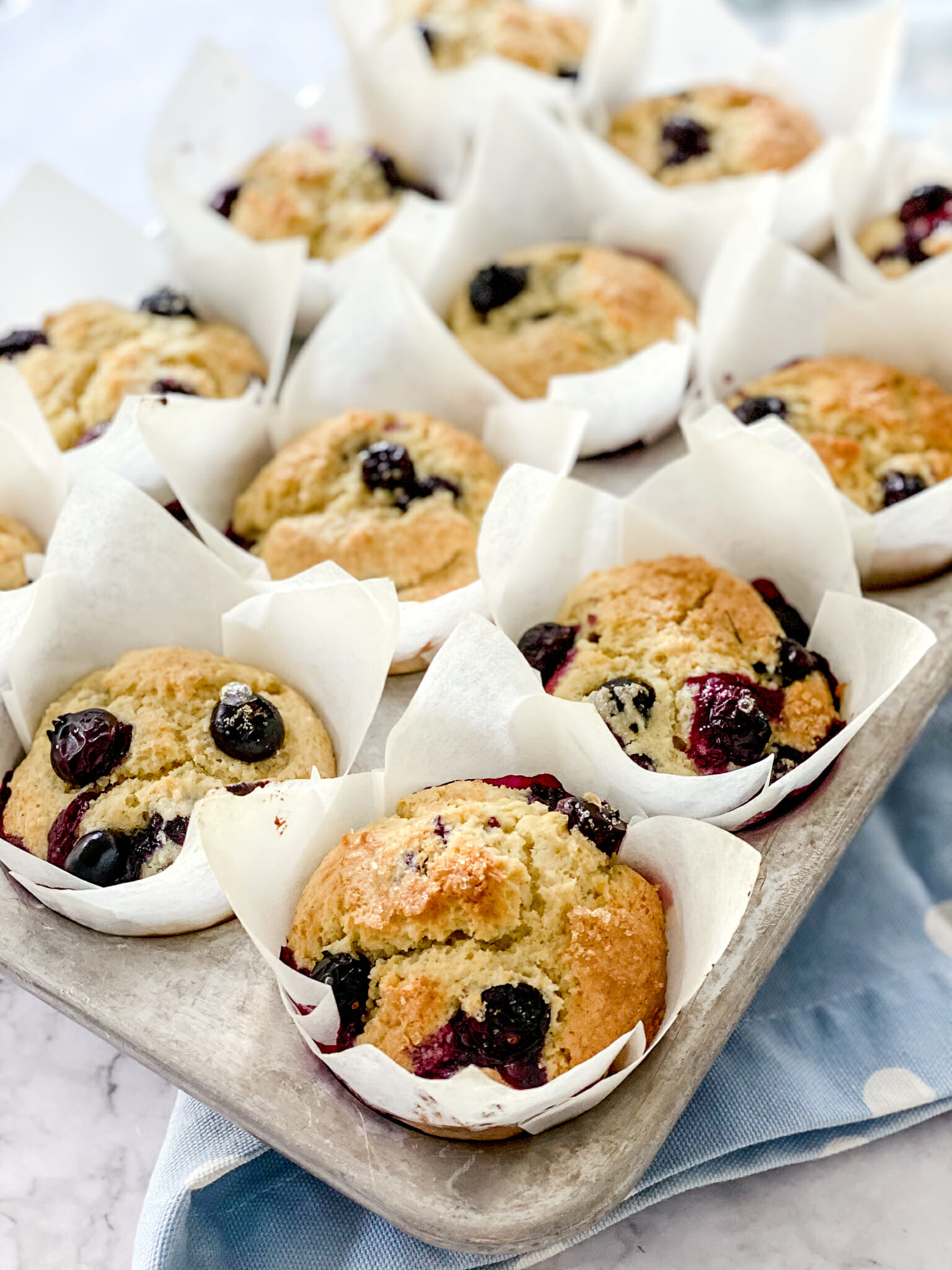 Your Favorite, Delicious Gluten-Free Blueberry Muffins