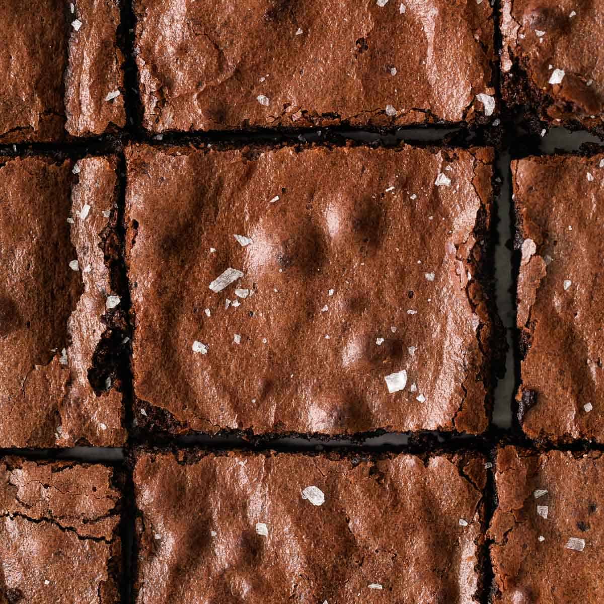 The Best Gluten-Free Brownie Recipe (Ultimate Fudgy!)